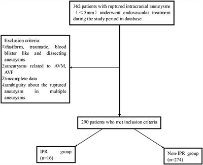 Independent predictors and risk score for intraprocedural rupture during endovascular treatment of small ruptured intracranial aneurysms (<5 mm)